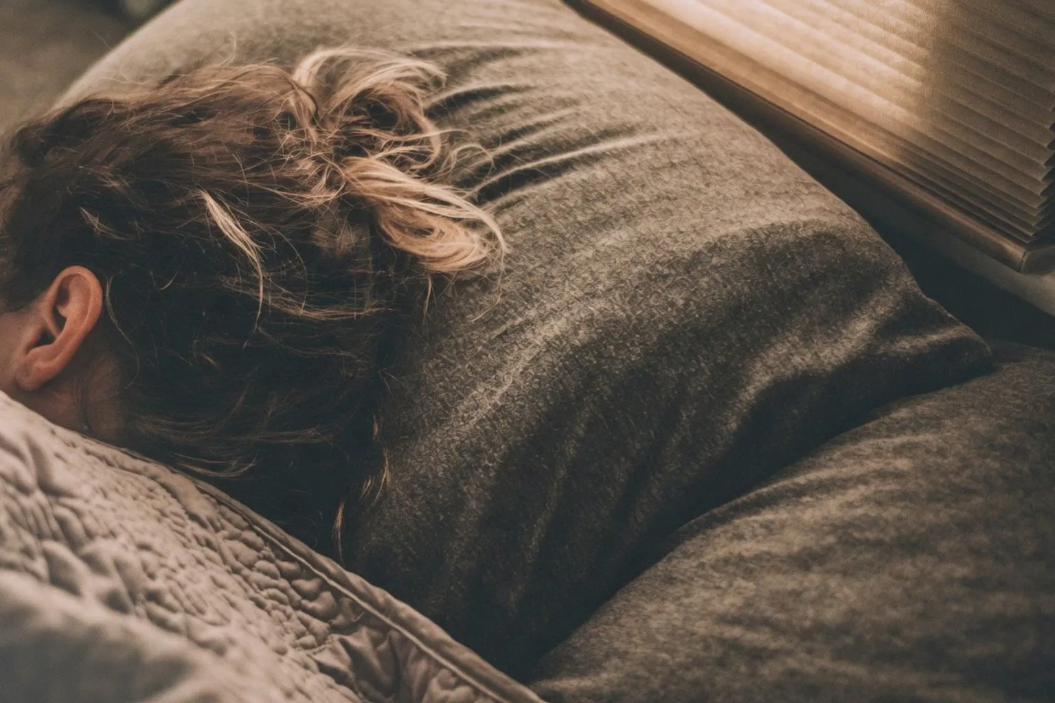 A Brain Circuit May Build Muscle And Boost Cognition As We Sleep