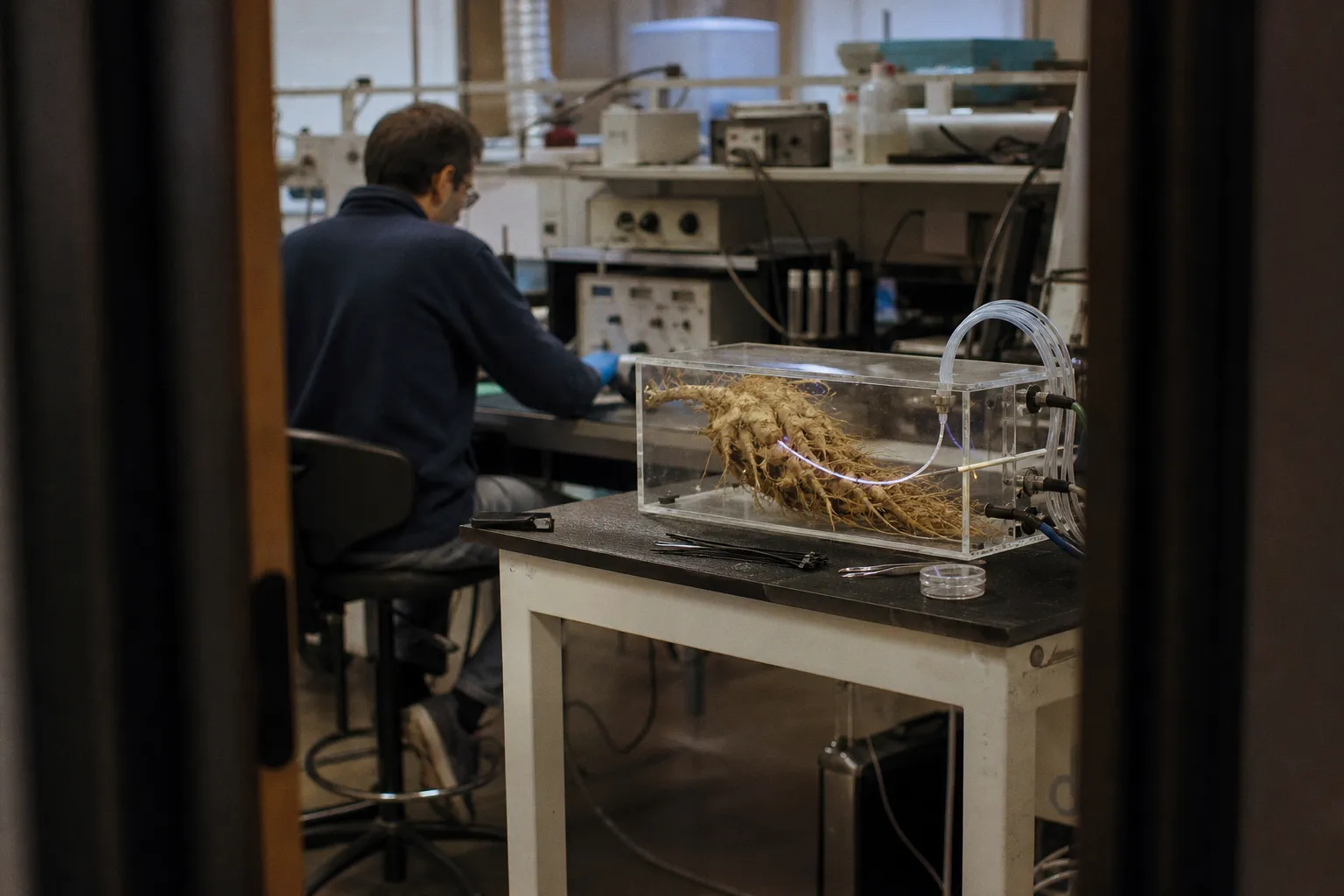Brain computer interface meaning: The dilemma of neural fusion
