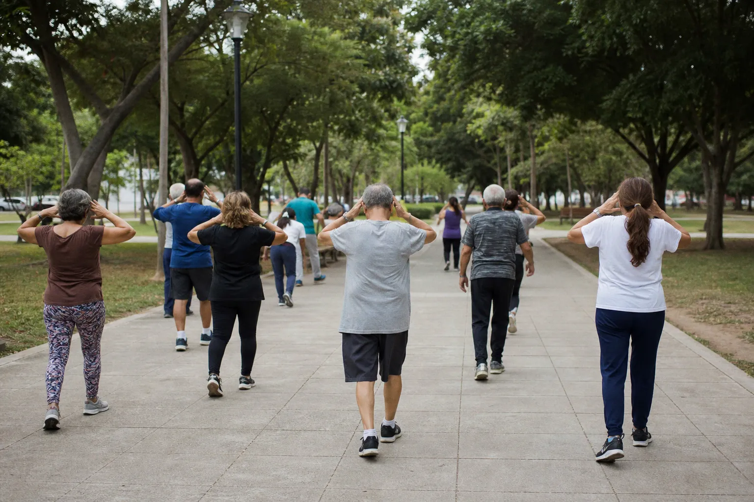 Lifestyle program improves brain health among older adults at risk for dementia across Latin America