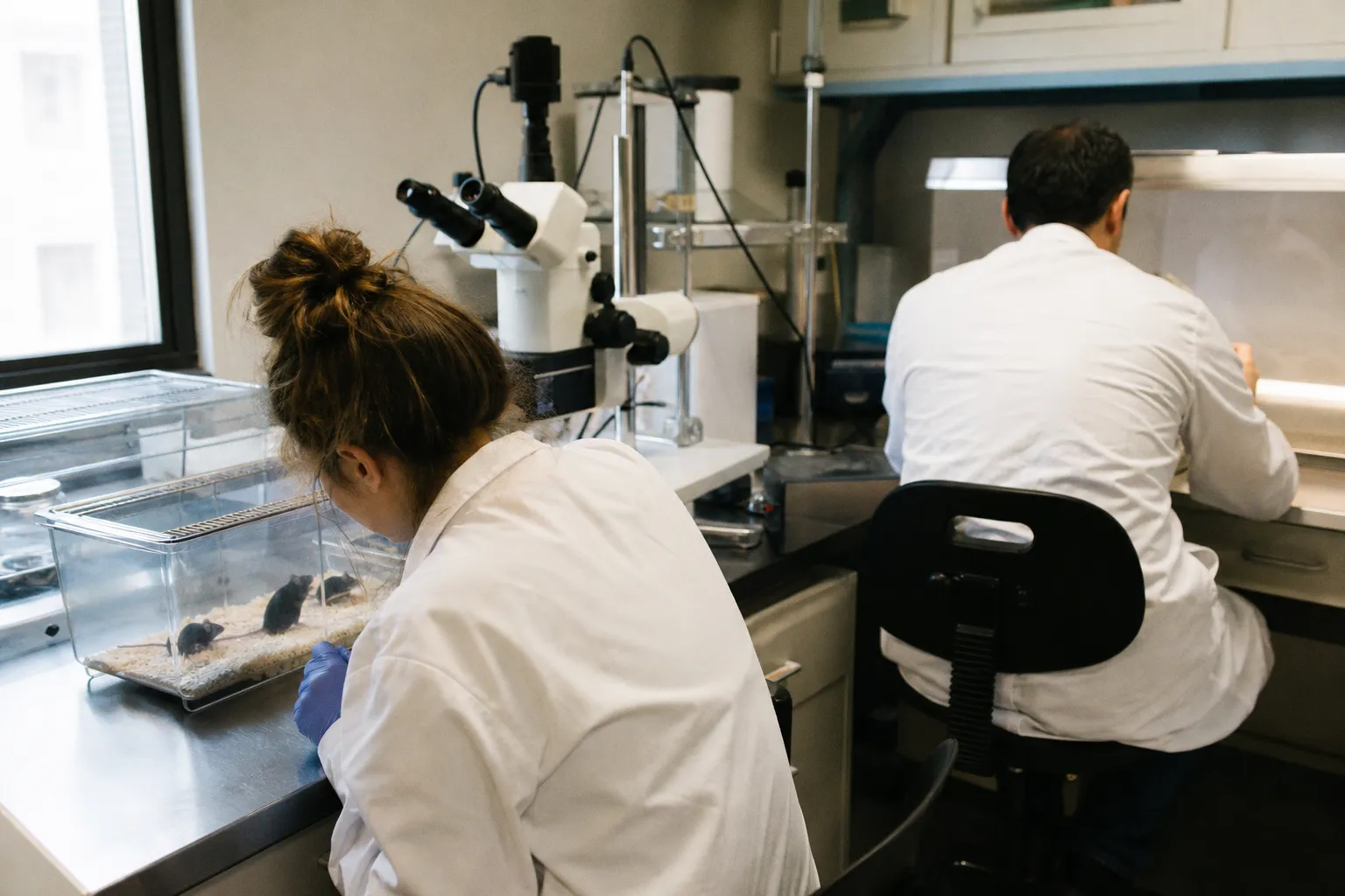 Scientists triggered sleep’s brain reset in awake mice, offsetting the toll of lost sleep