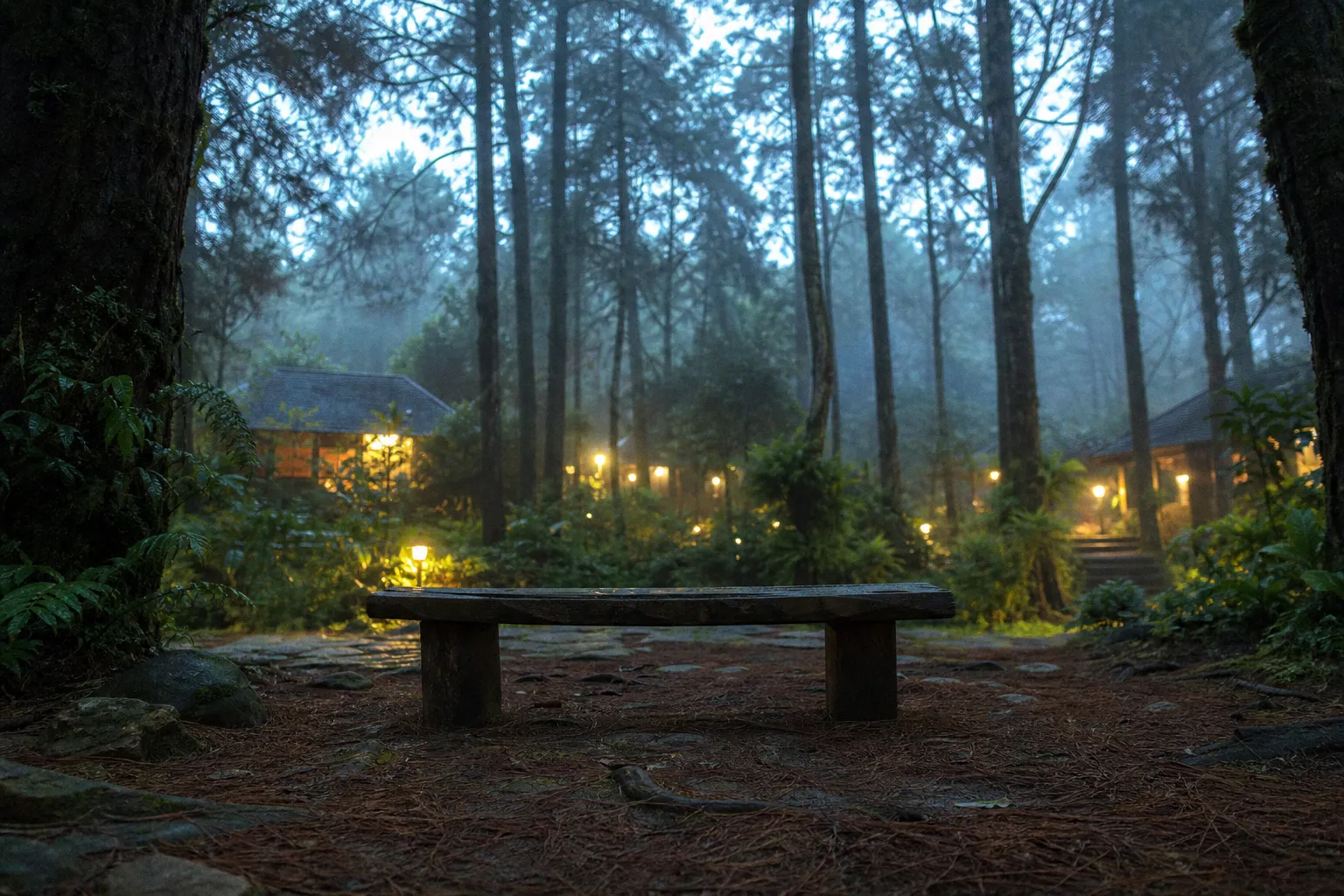 Why Mindfulness Meditation Retreats Rewire the Stressed Brain